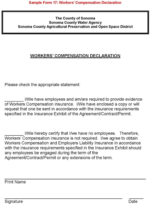 Sample Form 17 Workers Compensation Declaration Enlarged 1969